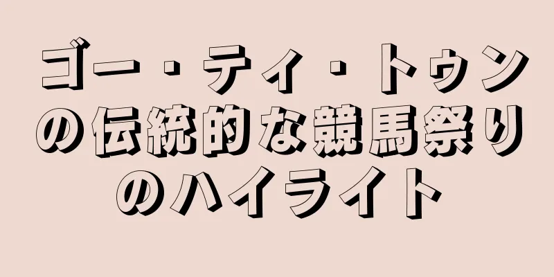 ゴー・ティ・トゥンの伝統的な競馬祭りのハイライト