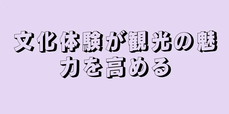 文化体験が観光の魅力を高める