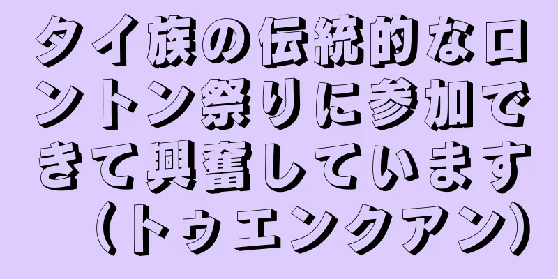 タイ族の伝統的なロントン祭りに参加できて興奮しています（トゥエンクアン）