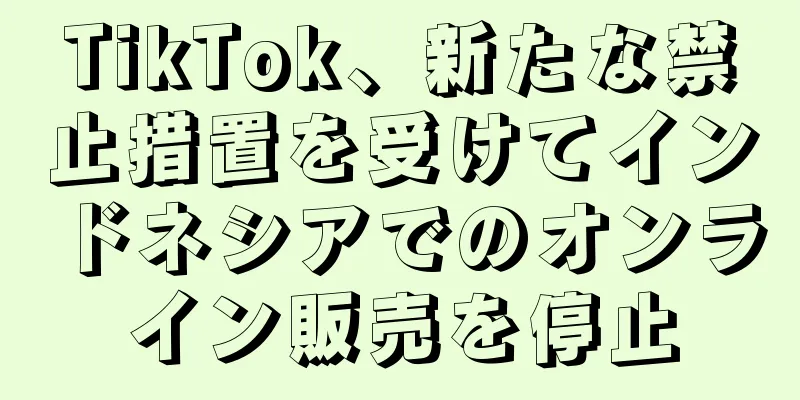 TikTok、新たな禁止措置を受けてインドネシアでのオンライン販売を停止