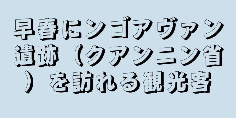 早春にンゴアヴァン遺跡（クアンニン省）を訪れる観光客