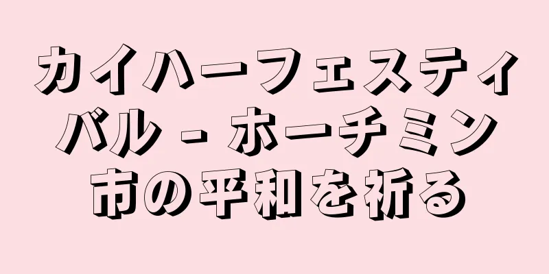 カイハーフェスティバル - ホーチミン市の平和を祈る