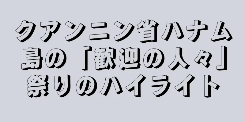 クアンニン省ハナム島の「歓迎の人々」祭りのハイライト