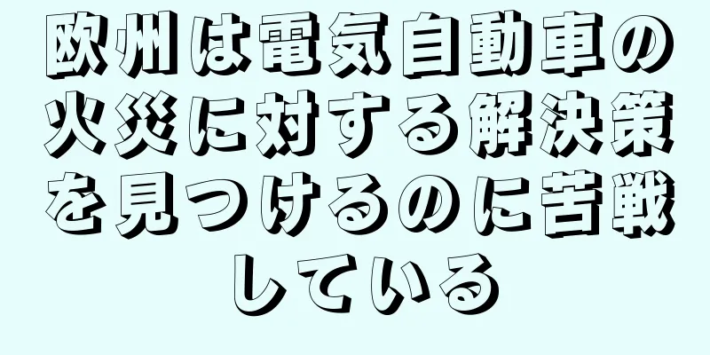欧州は電気自動車の火災に対する解決策を見つけるのに苦戦している