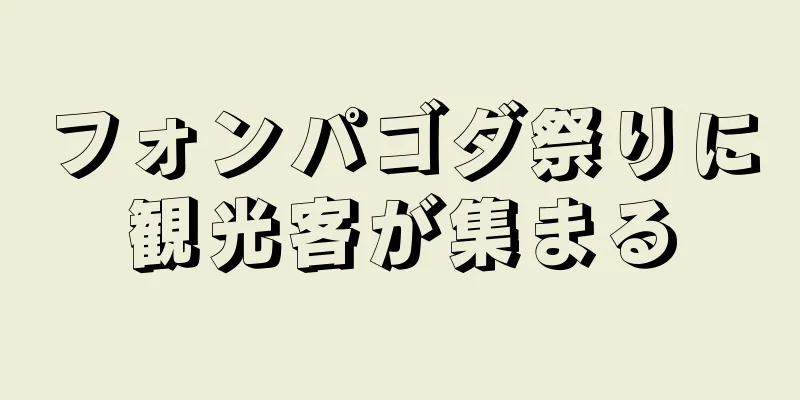 フォンパゴダ祭りに観光客が集まる
