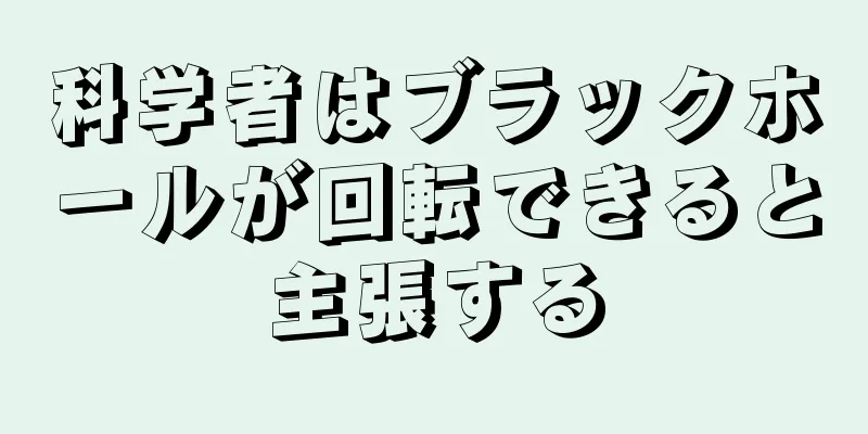 科学者はブラックホールが回転できると主張する