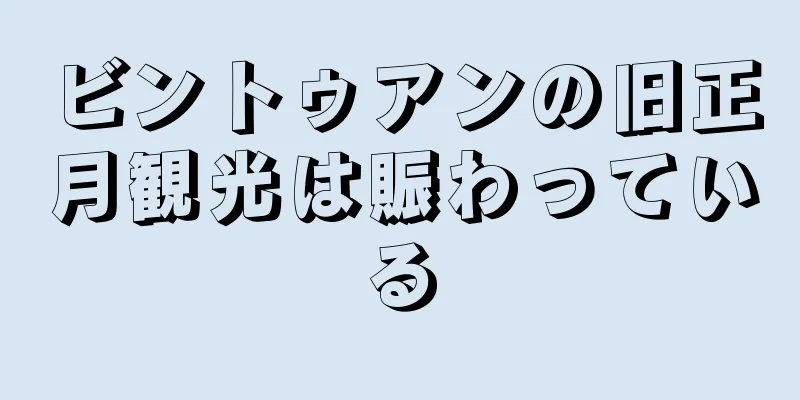 ビントゥアンの旧正月観光は賑わっている