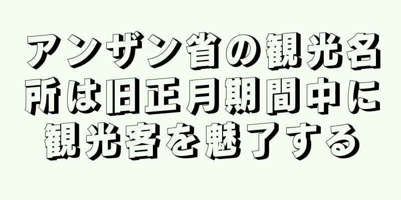 アンザン省の観光名所は旧正月期間中に観光客を魅了する
