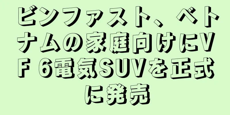 ビンファスト、ベトナムの家庭向けにVF 6電気SUVを正式に発売