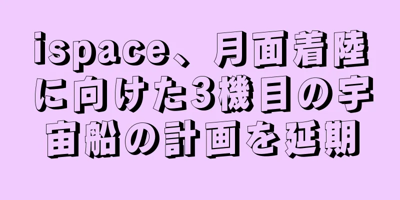 ispace、月面着陸に向けた3機目の宇宙船の計画を延期