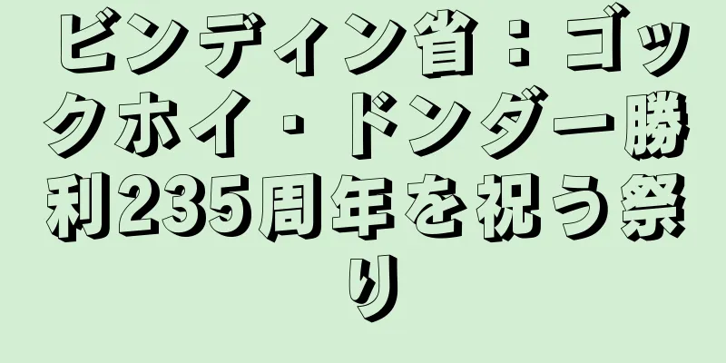 ビンディン省：ゴックホイ・ドンダー勝利235周年を祝う祭り