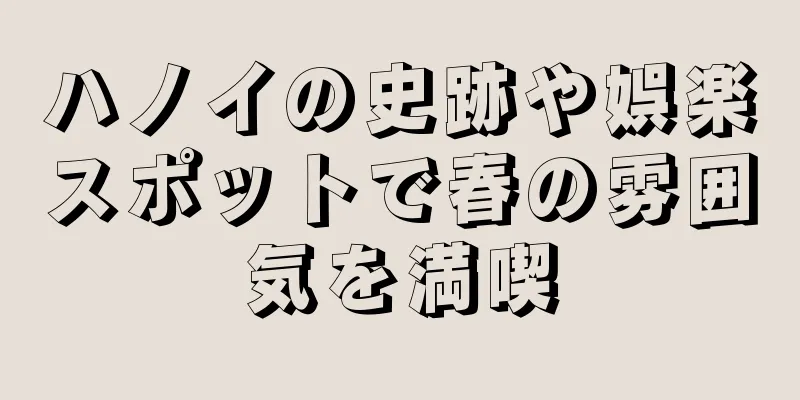 ハノイの史跡や娯楽スポットで春の雰囲気を満喫
