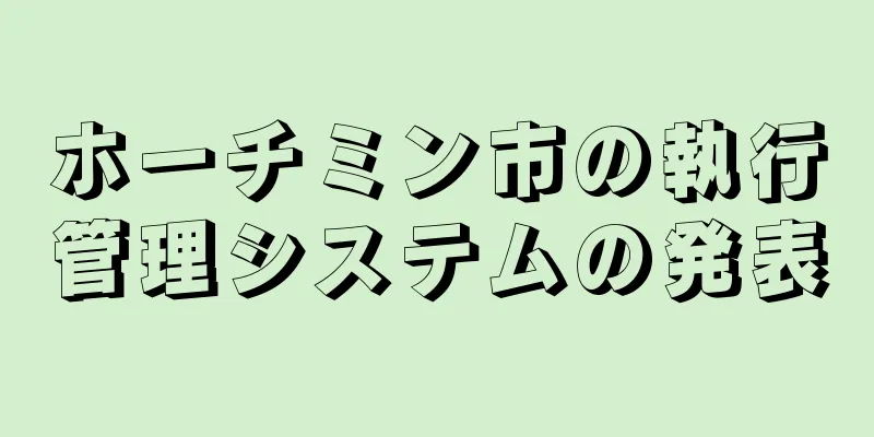 ホーチミン市の執行管理システムの発表