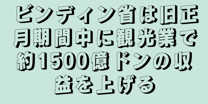 ビンディン省は旧正月期間中に観光業で約1500億ドンの収益を上げる