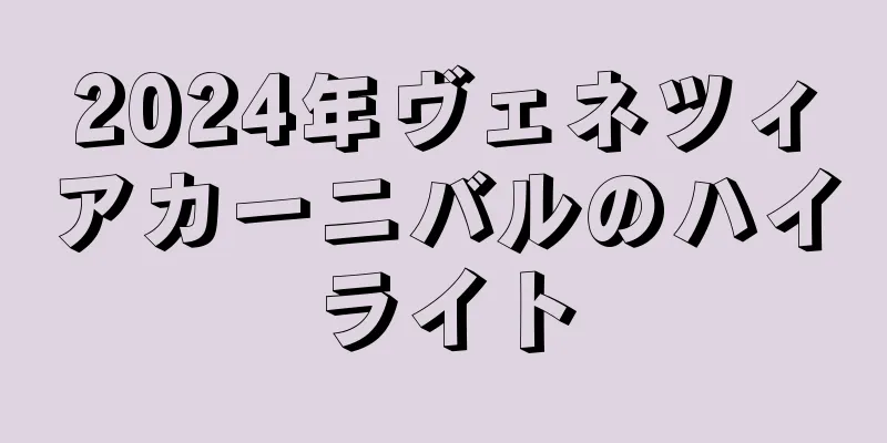 2024年ヴェネツィアカーニバルのハイライト