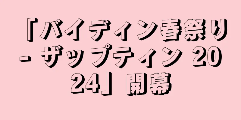 「バイディン春祭り - ザップティン 2024」開幕