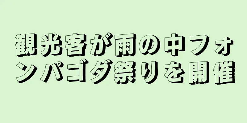 観光客が雨の中フォンパゴダ祭りを開催