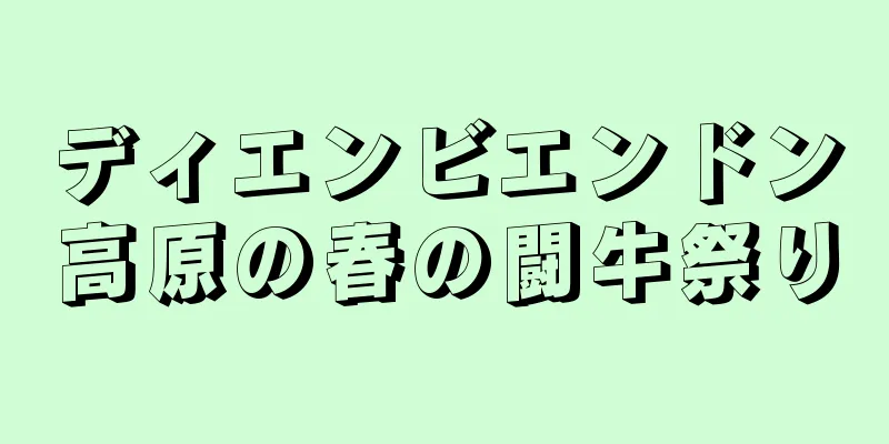 ディエンビエンドン高原の春の闘牛祭り