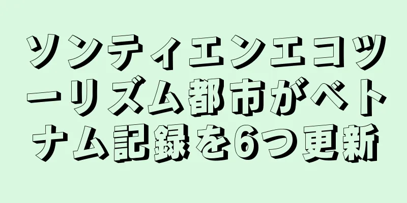 ソンティエンエコツーリズム都市がベトナム記録を6つ更新