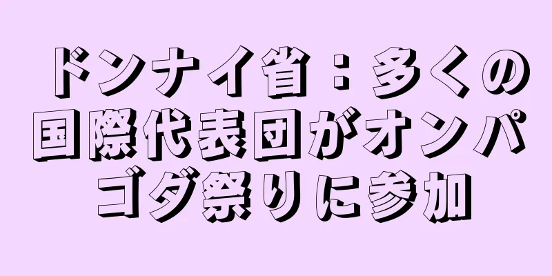ドンナイ省：多くの国際代表団がオンパゴダ祭りに参加