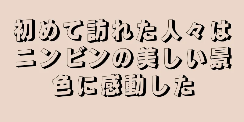 初めて訪れた人々はニンビンの美しい景色に感動した