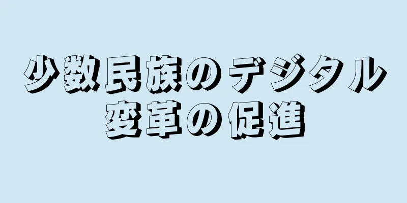 少数民族のデジタル変革の促進