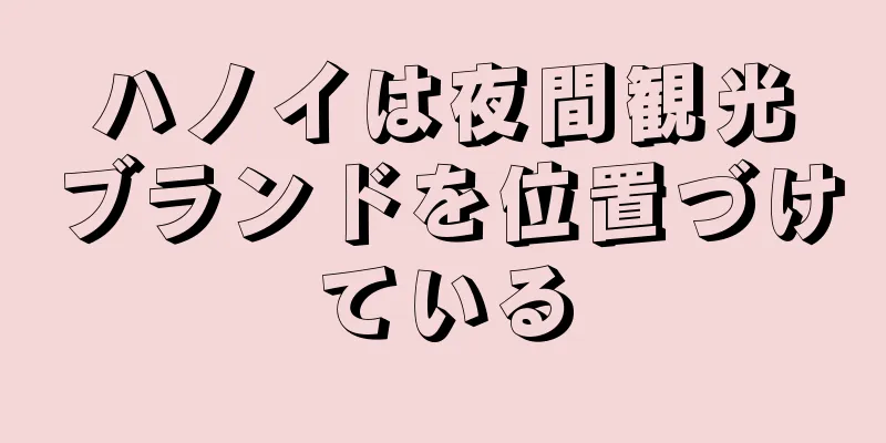 ハノイは夜間観光ブランドを位置づけている