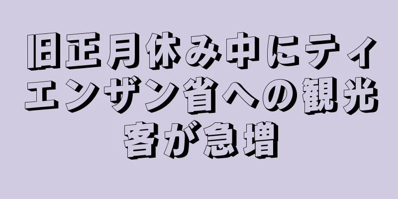 旧正月休み中にティエンザン省への観光客が急増