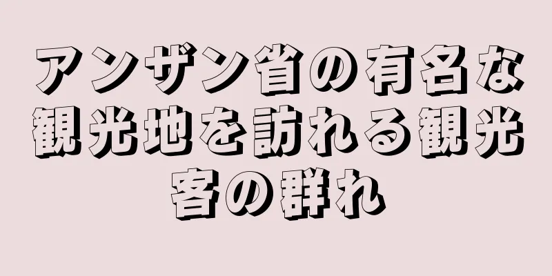 アンザン省の有名な観光地を訪れる観光客の群れ