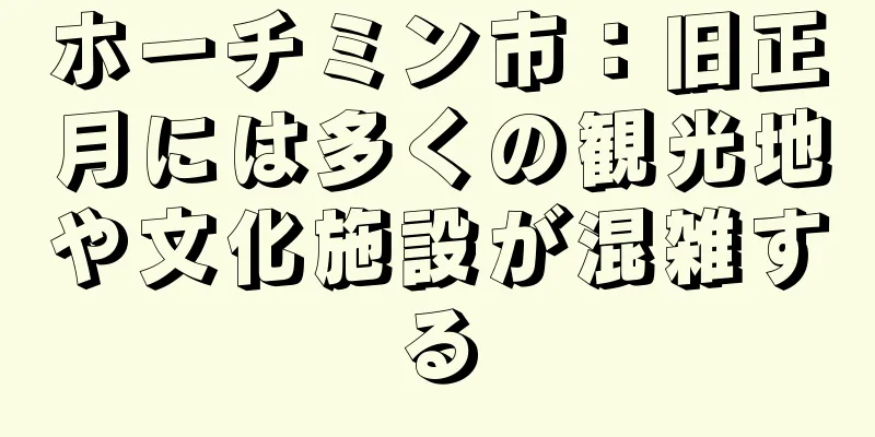 ホーチミン市：旧正月には多くの観光地や文化施設が混雑する