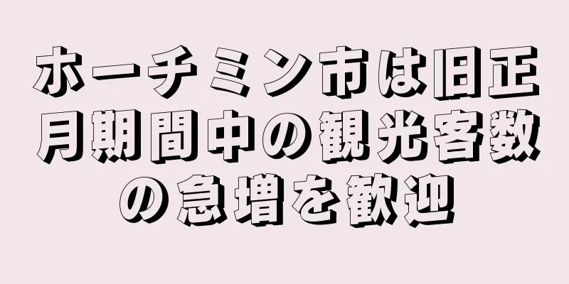 ホーチミン市は旧正月期間中の観光客数の急増を歓迎