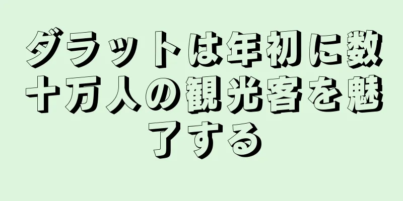 ダラットは年初に数十万人の観光客を魅了する