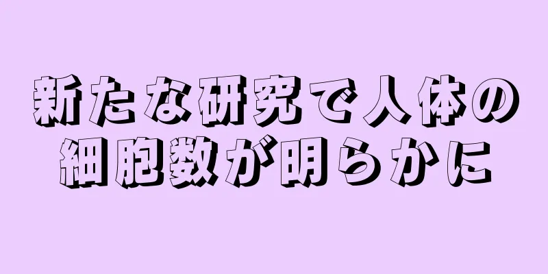 新たな研究で人体の細胞数が明らかに