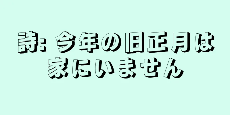 詩: 今年の旧正月は家にいません