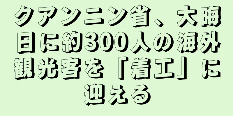 クアンニン省、大晦日に約300人の海外観光客を「着工」に迎える