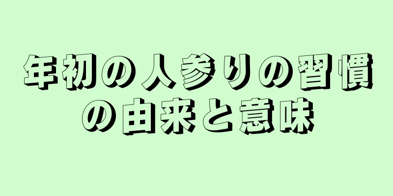 年初の人参りの習慣の由来と意味