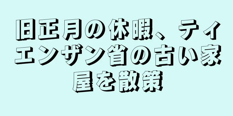 旧正月の休暇、ティエンザン省の古い家屋を散策