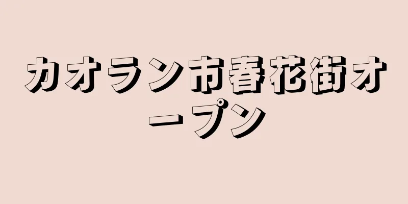 カオラン市春花街オープン
