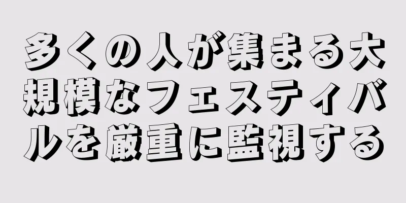多くの人が集まる大規模なフェスティバルを厳重に監視する