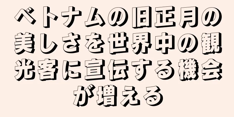 ベトナムの旧正月の美しさを世界中の観光客に宣伝する機会が増える