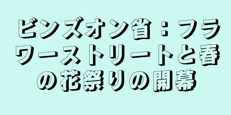 ビンズオン省：フラワーストリートと春の花祭りの開幕