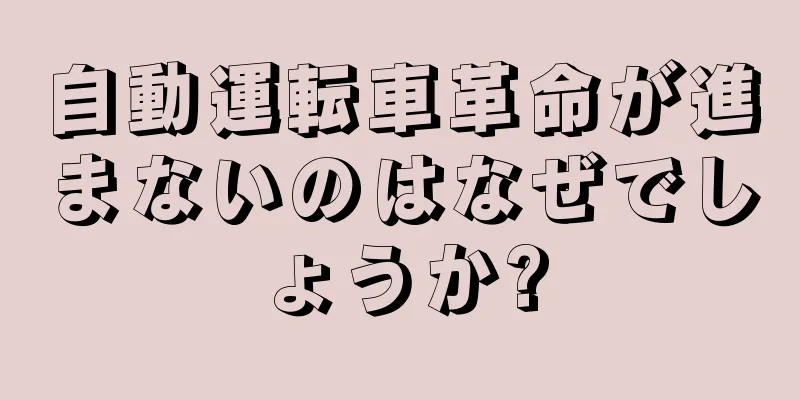 自動運転車革命が進まないのはなぜでしょうか?