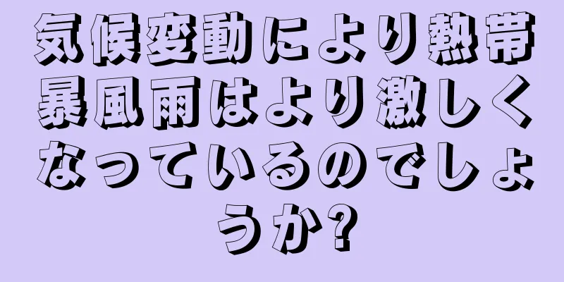 気候変動により熱帯暴風雨はより激しくなっているのでしょうか?