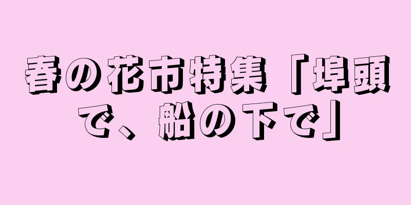 春の花市特集「埠頭で、船の下で」