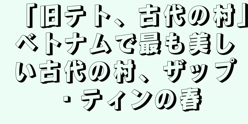 「旧テト、古代の村」ベトナムで最も美しい古代の村、ザップ・ティンの春