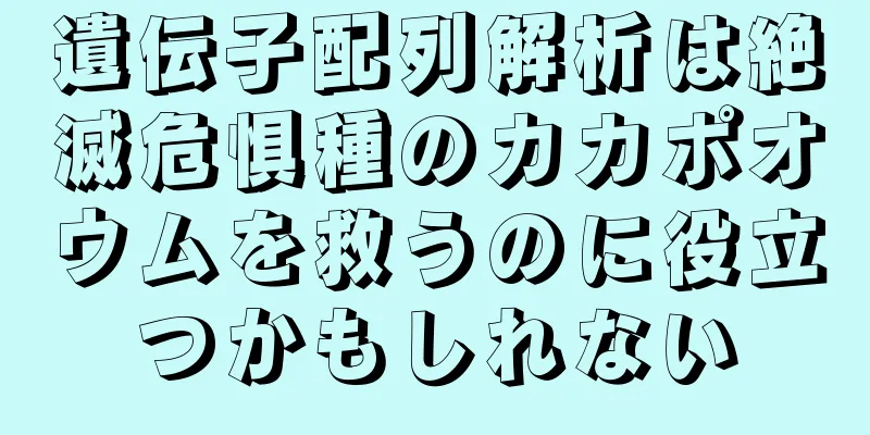遺伝子配列解析は絶滅危惧種のカカポオウムを救うのに役立つかもしれない