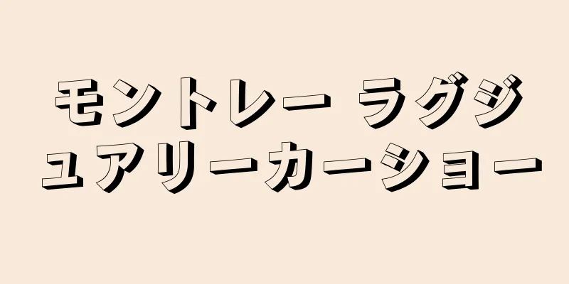 モントレー ラグジュアリーカーショー