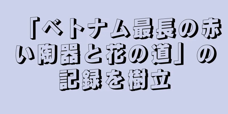 「ベトナム最長の赤い陶器と花の道」の記録を樹立