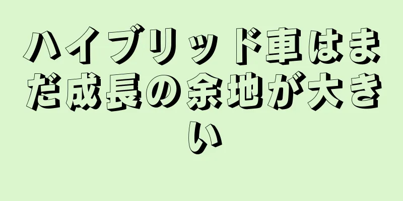 ハイブリッド車はまだ成長の余地が大きい