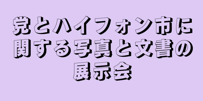 党とハイフォン市に関する写真と文書の展示会